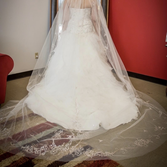 Swarovski Cathedral Crystal Classy Veil - Picture 1 of 3